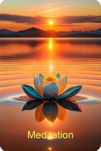 “Lotus flower symbolizing gentleness, strength, and sacred meditation.”