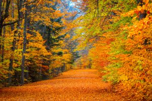 “Calm meditation space for relaxation, stillness, and mindfulness.”